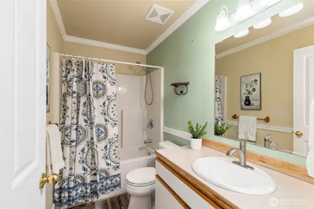 Guest bathroom