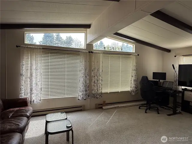 Living room vaulted ceilings