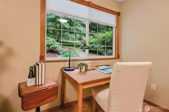 serene view from your work aq home office