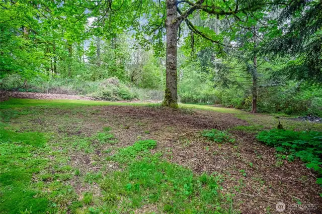 A view of upper backyard under tree cover = private and peaceful