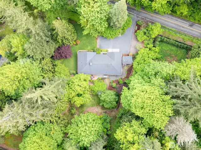 Ariel view of gproperty