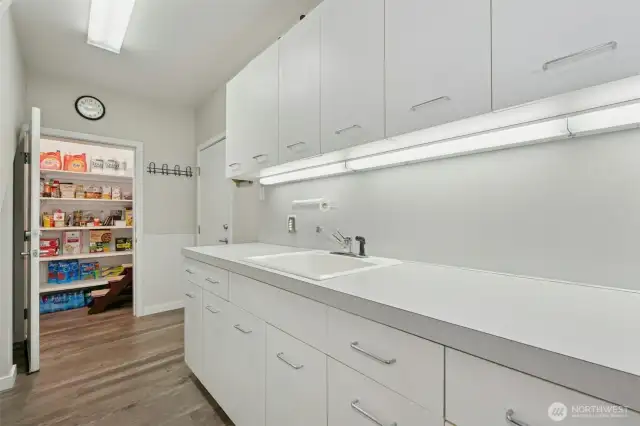 Huge "Costco" pantry