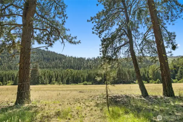 Take in Meadow and Ridge views while soaking in the sun!