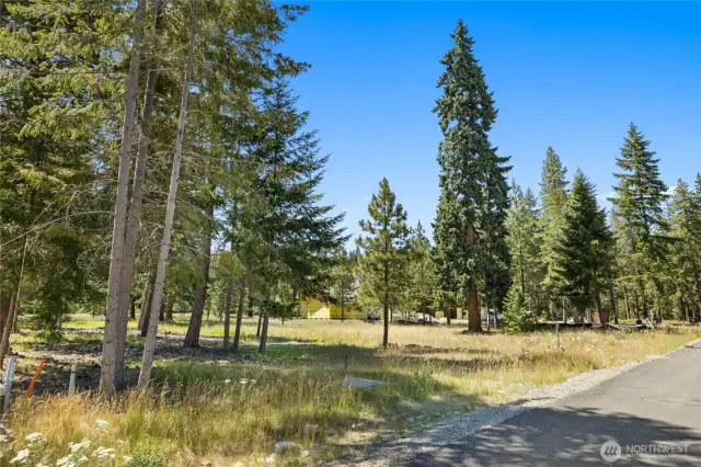 Front Left Corner of Property