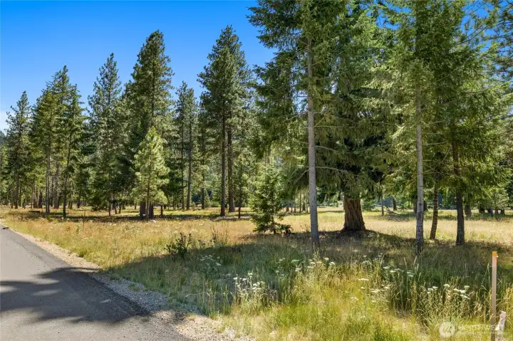 Front Right Corner of Homesite