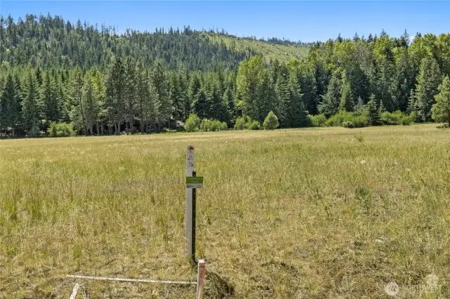 Back corner of homesite.