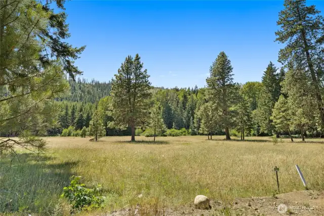 Meadow view from property