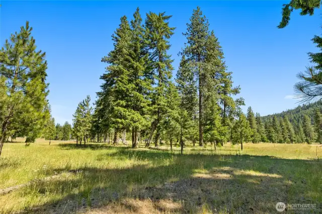 View of property from back corner