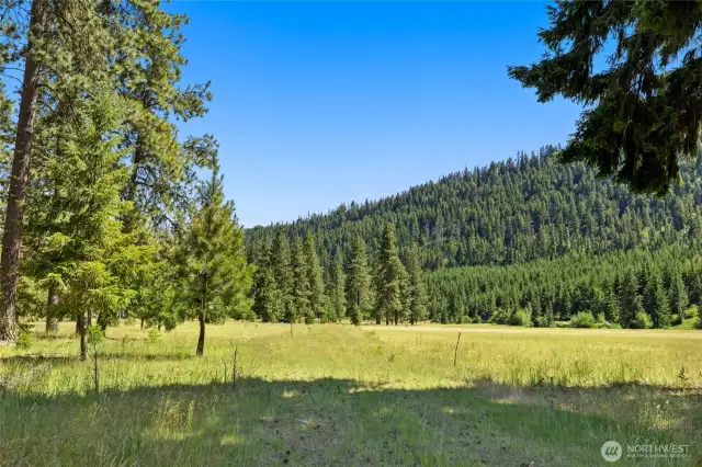 Back of property line