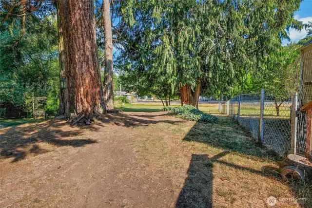 more of the yard