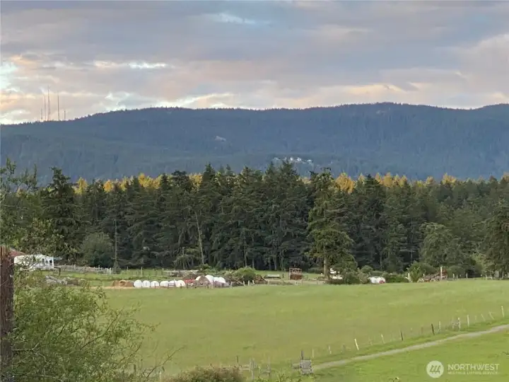 Mount Constitution never disappoints. The setting sun lights up the tips of the forest on the edge of the field