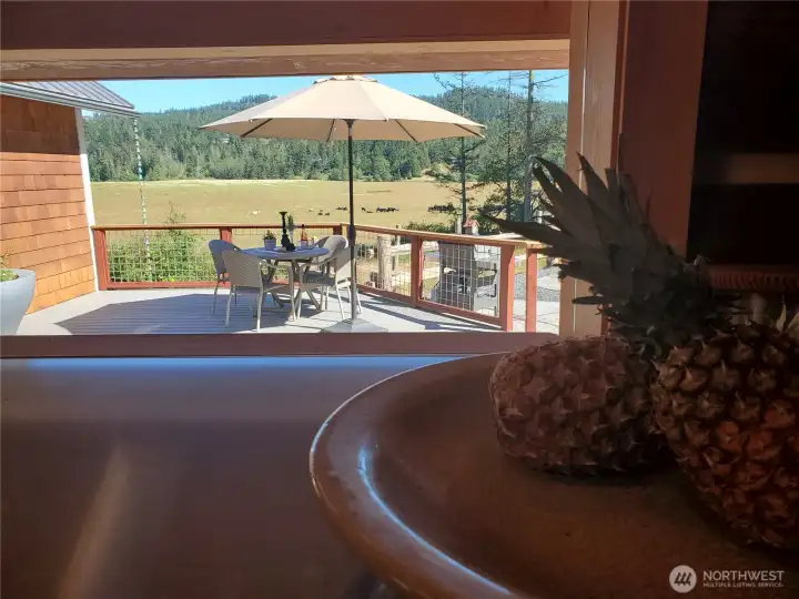 View from kitchen.