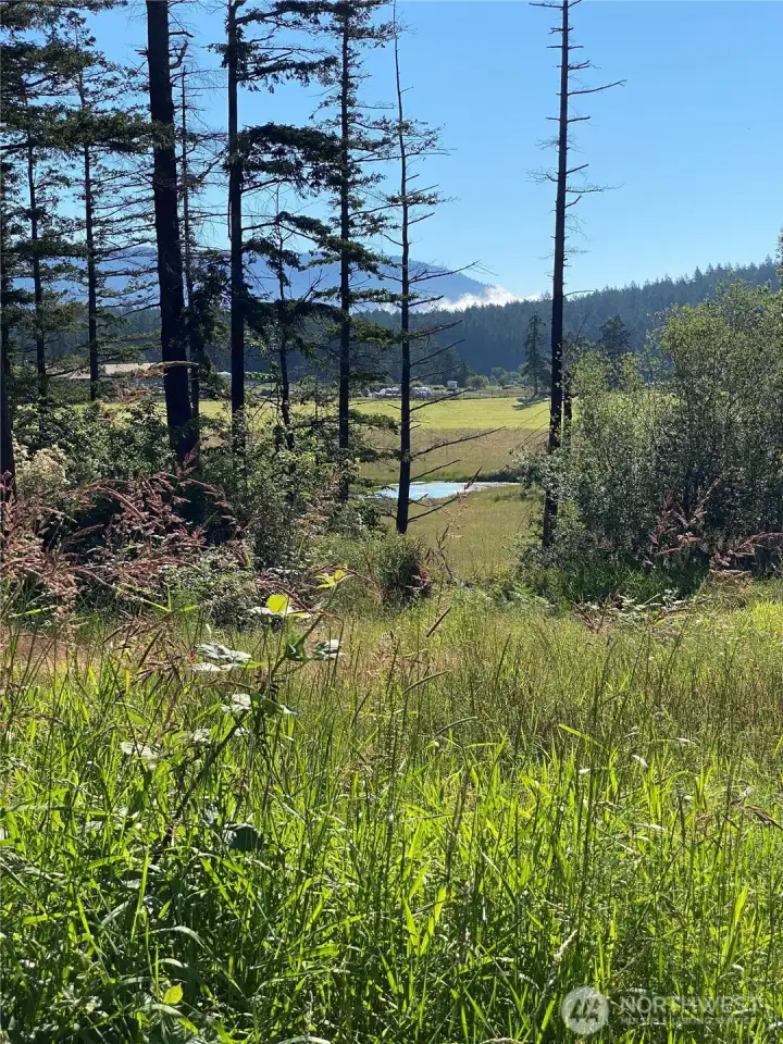 The north end of the property is undeveloped, left in it's natural state, offering up peek-a-boo views and adventure.