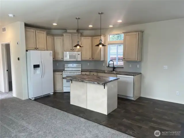 Kitchen prior to move in.