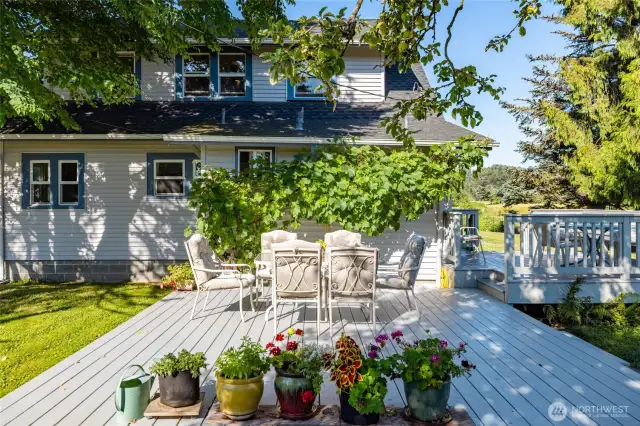 How sweet is this?  A spacious deck spans two areas, so you can chase the sun or the shade, as you desire.  Mature, producing grape vine at back.