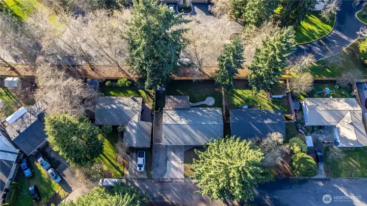 This aerial view showcases the property within its neighborhood context. Mature trees, surrounding homes and lot positioning are all visible, giving perspective on privacy and setting. The roofline and backyard layout are clearly defined, helping visualize the full footprint from above.