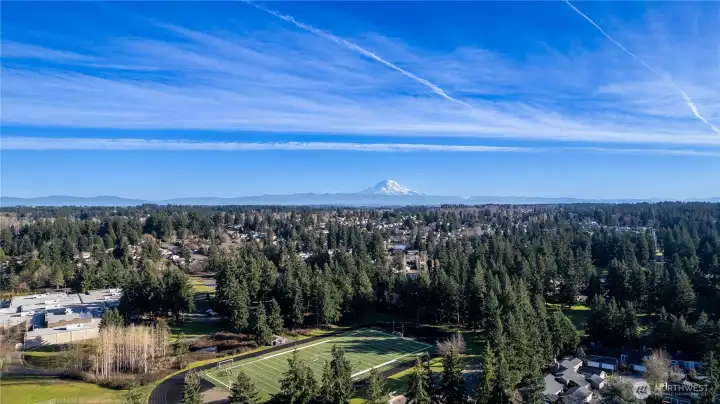 This elevated view captures the surrounding area’s natural beauty, with expansive treelines and open sky stretching outward. On clear days, distant mountain views add to the scenic backdrop. It reinforces the peaceful residential setting while highlighting the region’s Pacific Northwest charm.