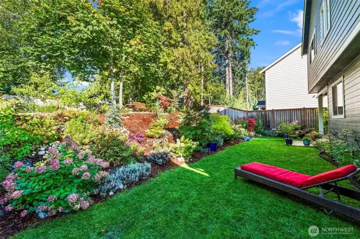 A lush lawn is the gateway to the garden paradise.  The backyard has a full drip irrigation system to keep it lush and lovely throughout the year at an economical price.
