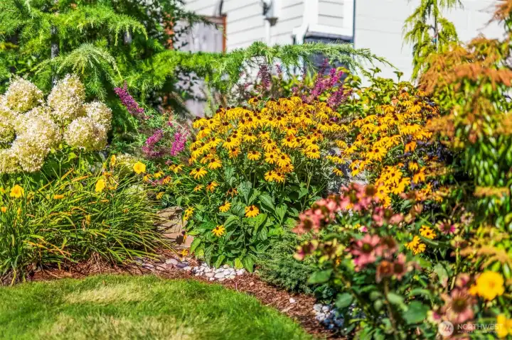 Bursting with color!