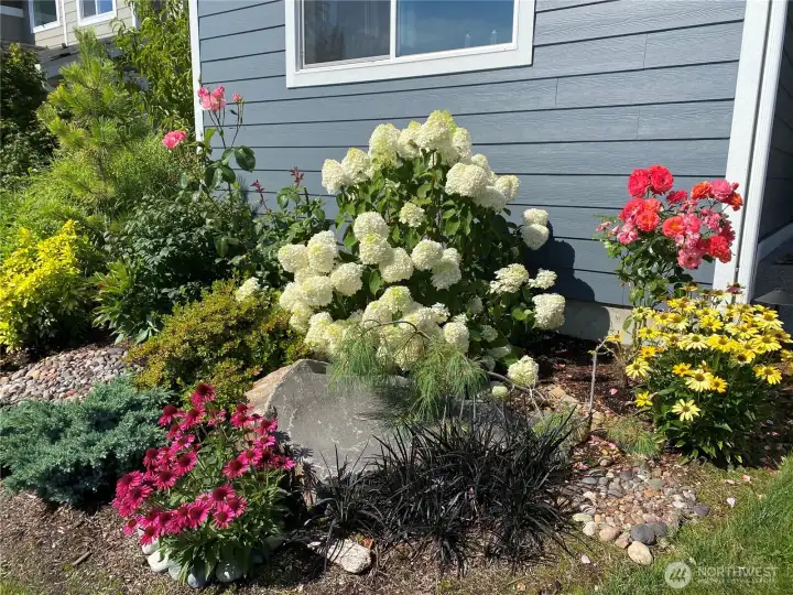 Garden bed in front of the house