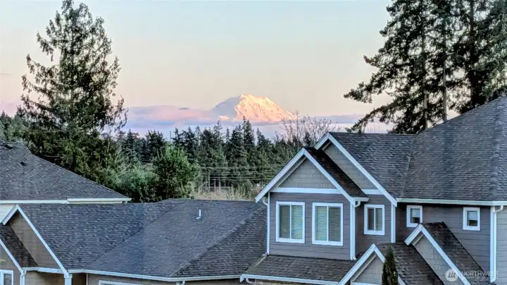 The views of Mt. Rainier are a special bonus to this special home and property!  Welcome Home!