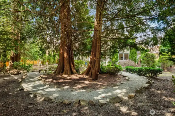 Back Yard Serene Feel