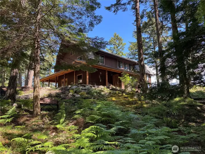 The main house is tucked into native vegetation at the top of the bluff. Surrounded by old growth forest, ferns, mossy knolls and sunlight.