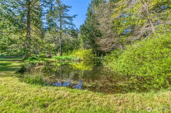This property is parked out, complete with ponds, willow/cedar/fir trees throughout, accompanied by ferns, mossy knolls, native vegetation and wild flowers and trails with an abundance of wildlife.