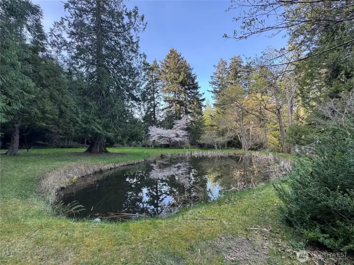 This tranquil upper pond is located in a meadow above the orchard.