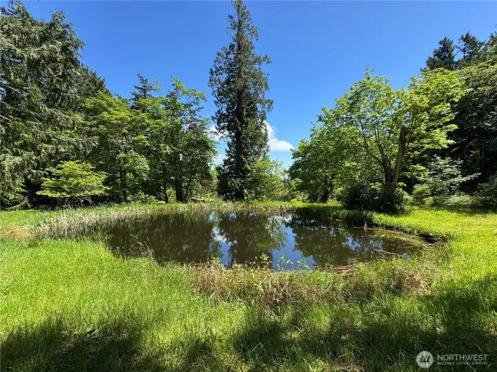 This tranquil upper pond is located in a meadow above the orchard.