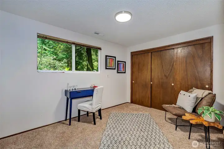 Lower level bedroom #5