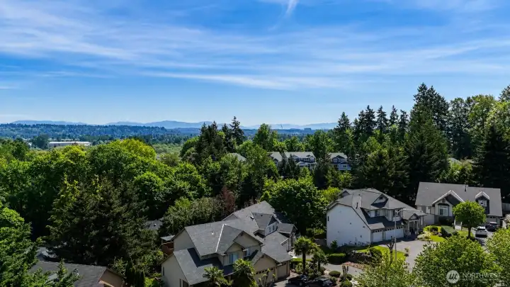View from Back Deck