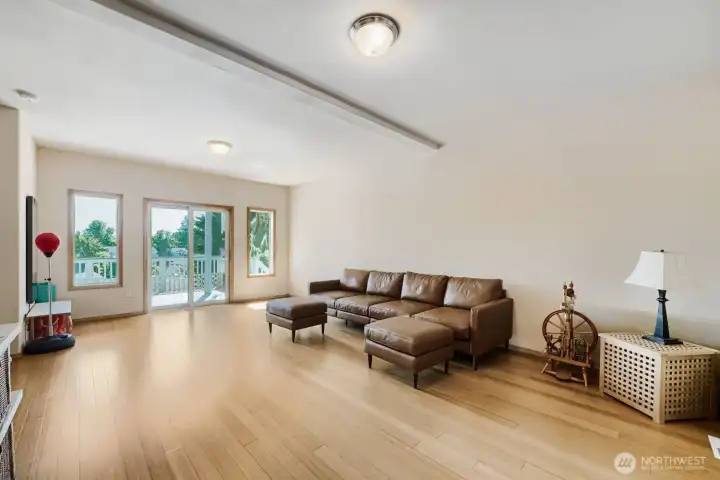 Downstairs Family Room