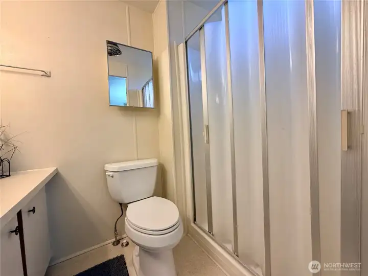 Another view of the primary bathroom.