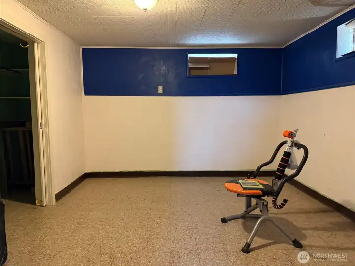 Basement Non-Conforming Bedroom Basement Non-Conforming Bedroom