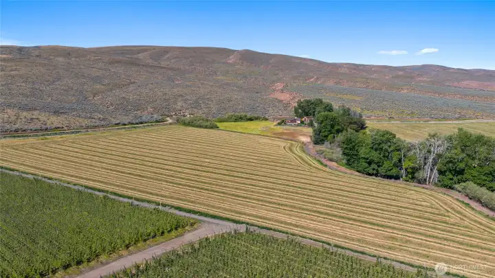 View of all 4 lots.