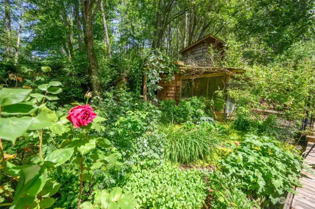 Garden of delights looking toward the outbuilding.