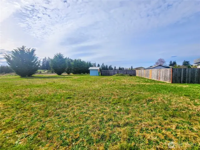 The property line goes  beyond these privacy trees.