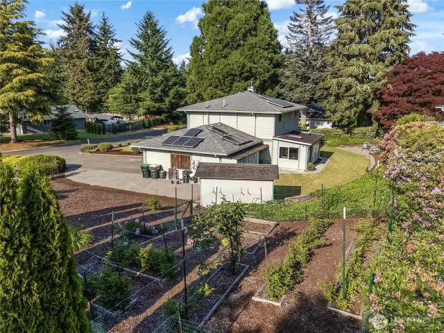 If you want to grow your own vegetables, this yard is perfect for you.