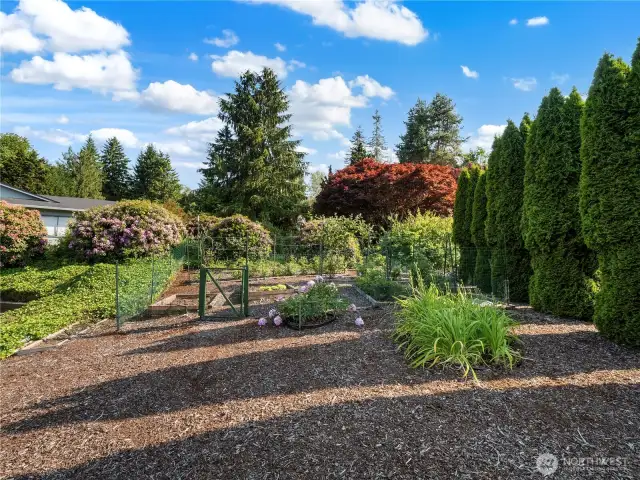 Fenced in garden space protect your vegetables from little critters.