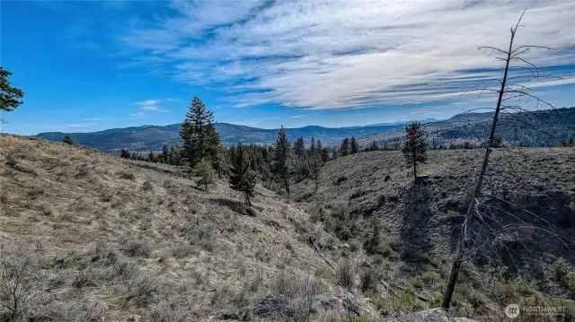 Looking South from center East area of property.