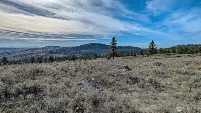 Looking West from East end of property.