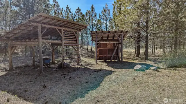 Wood sheds and storage. Looking West from main cabin area.