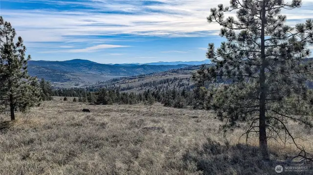South of the cabin area looking SW.