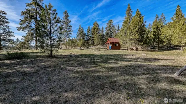 Plenty of room for friends. Looking NW from well area. Driveway is on the right.