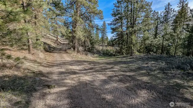 Strat of driveway from N end of property.
