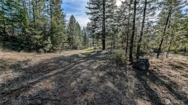Entrance to cabin area looking SW.