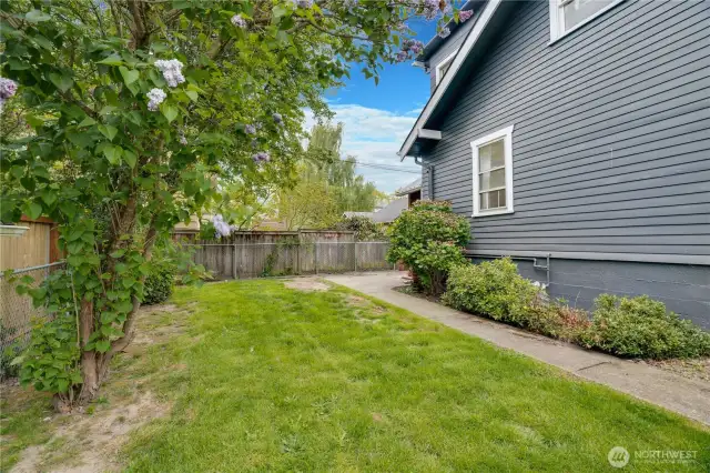 side yard