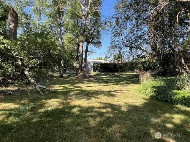 Spacious backyard