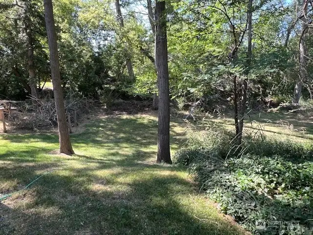 Secluded yard with